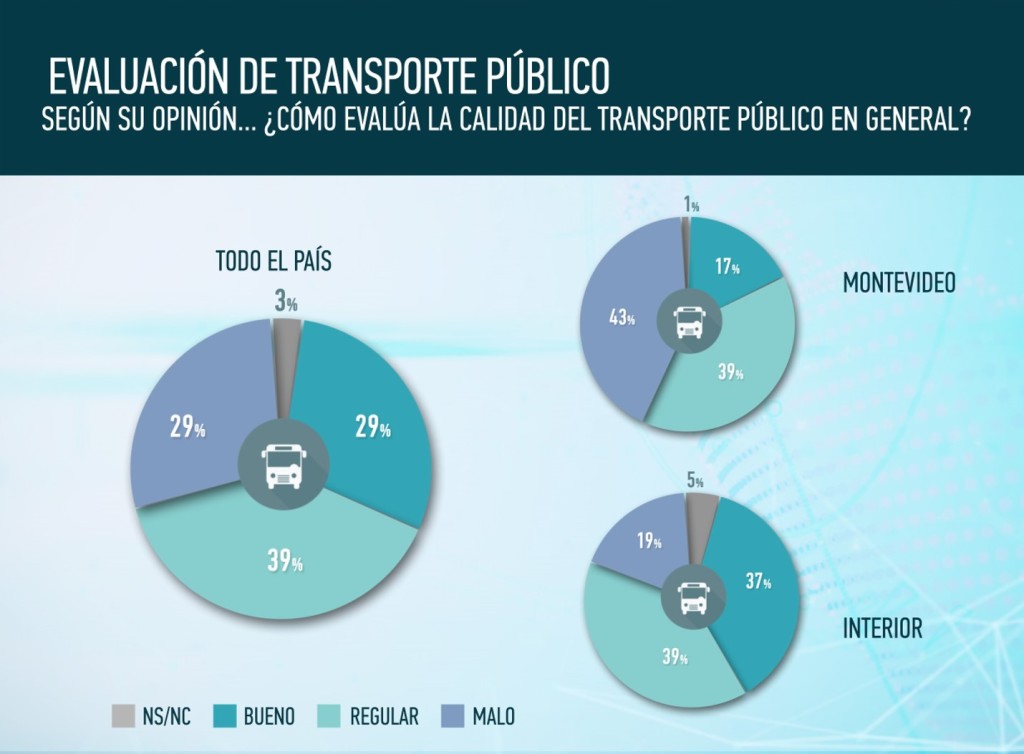 Grafico 1